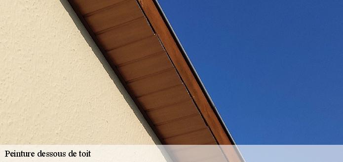 Entreprise Ferret Couverture : à votre disposition pour vos travaux de peinture de dessous de toit