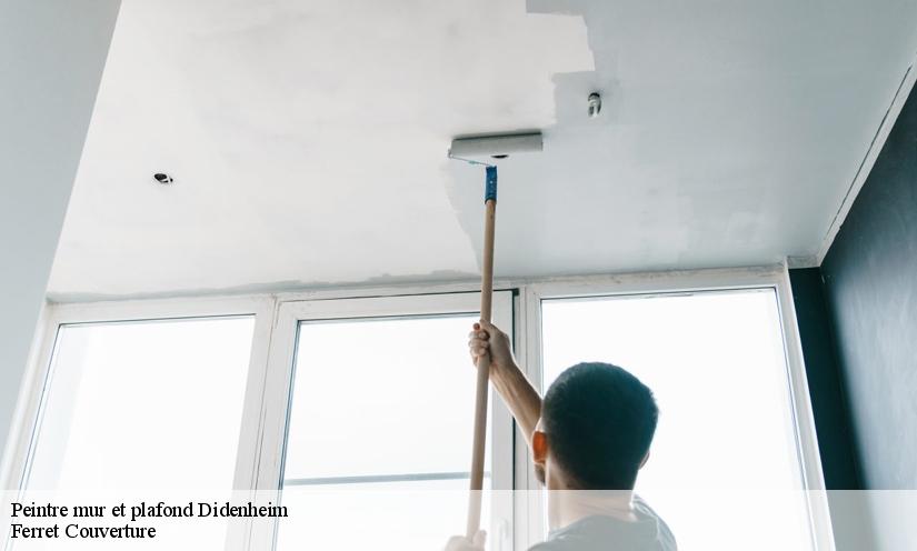 Peintre plafond intérieur Ferret Couverture à votre service dans le 68350