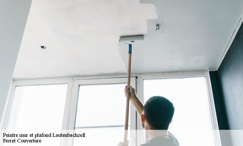 Les travaux de peinture des murs intérieurs à Lautenbachzell dans le 68610