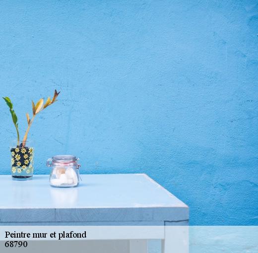 La pose de peinture sans traces sur le plafond avec le peintre Ferret Couverture