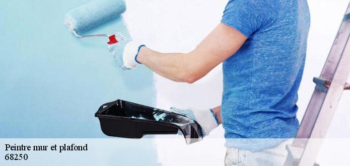 La pose de peinture sans traces sur le plafond avec le peintre Ferret Couverture