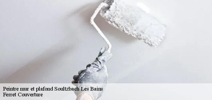 Qui peut effectuer les travaux de peinture des plafonds à Soultzbach Les Bains ?