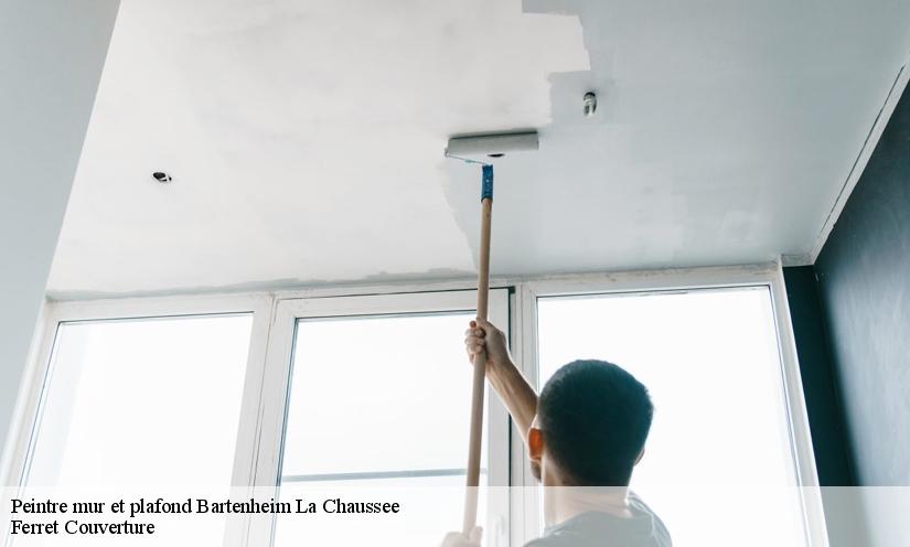 Les services du peintre mur et plafond Ferret Couverture à Bartenheim La Chaussee