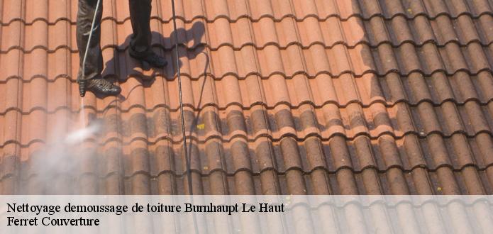 Ferret Couverture et le démoussage des toits à Burnhaupt Le Haut dans le 68520