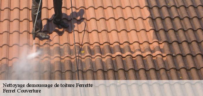 Ferret Couverture et les travaux de nettoyage des toits