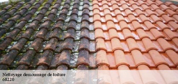 Ferret Couverture propose le prix le moins cher en matière de nettoyage et démoussage de toiture à 68220