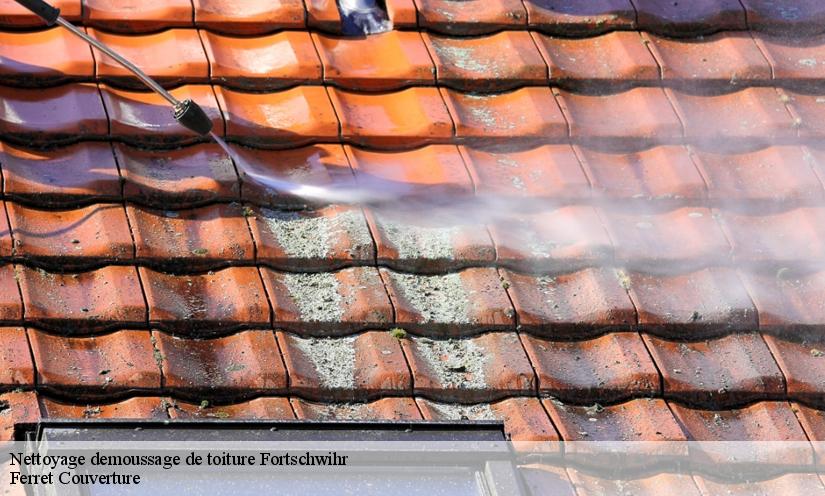 Les travaux de nettoyage des toits des maisons à Fortschwihr