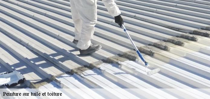 Les travaux de peinture sur les tuiles de la toiture à Burnhaupt Le Haut dans le 68520