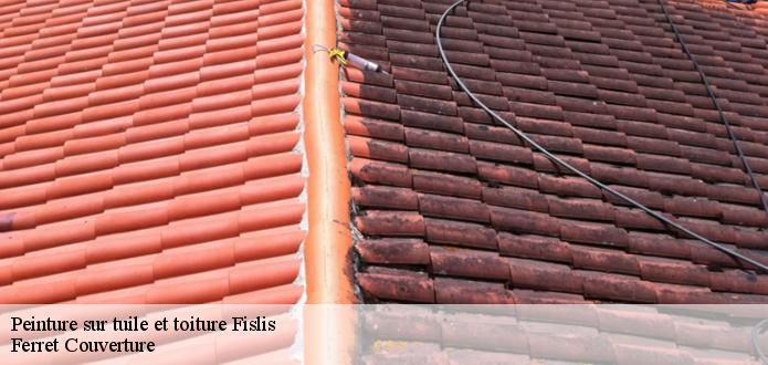 L’entreprise Ferret Couverture est une spécialiste en matière de peinture sur toiture à 68480 