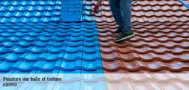 Confiez la peinture de votre toiture à Galfingue à Boiteau David
