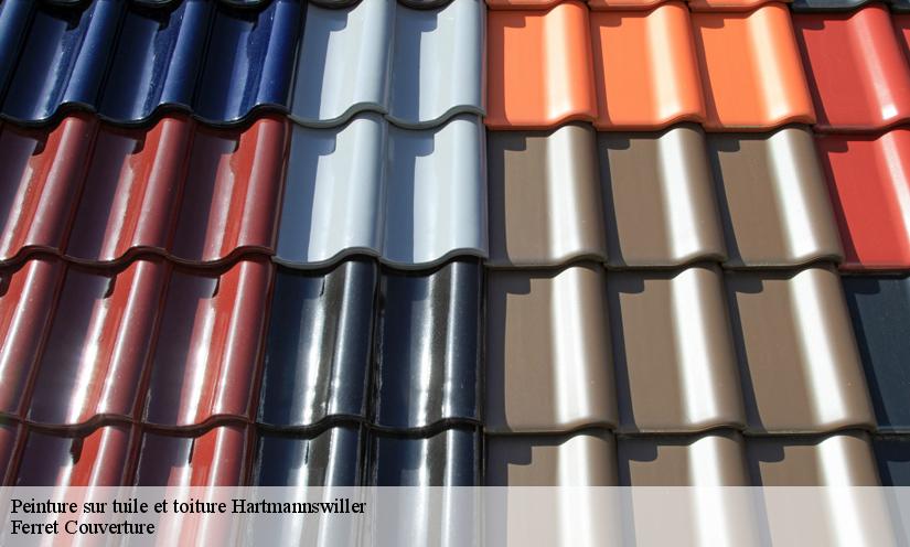 L’entreprise Ferret Couverture vous assure une peinture sur toiture parfaite et garantie