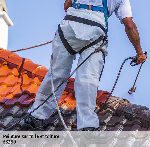 Les travaux de peinture sur les tuiles de la toiture à Oberhergheim dans le 68250