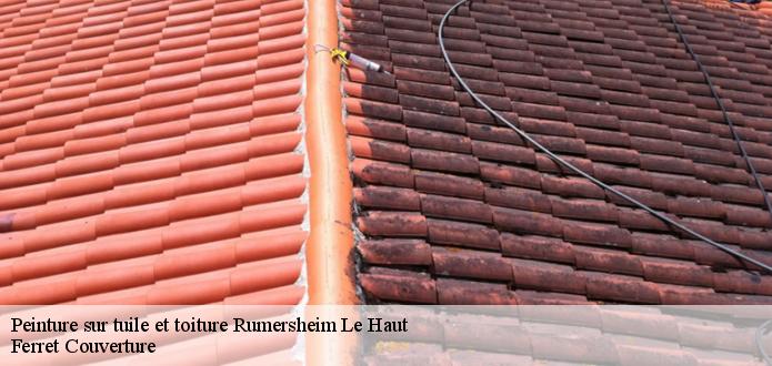 Qui prend en main les travaux de peinture des tuiles à Rumersheim Le Haut dans le 68740 ?