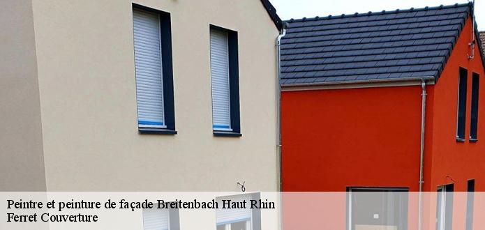 Ferret Couverture : un habitué des travaux de peinture des façades à Breitenbach Haut Rhin et les localités avoisinantes