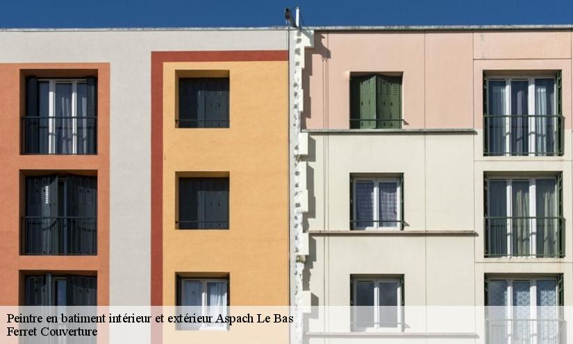 Les travaux de mise en place des plaques de ba 13 à Aspach Le Bas et ses environs