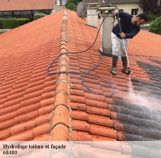 À qui peut-on confier les travaux d'hydrofugation des toits et des façades des maisons ?