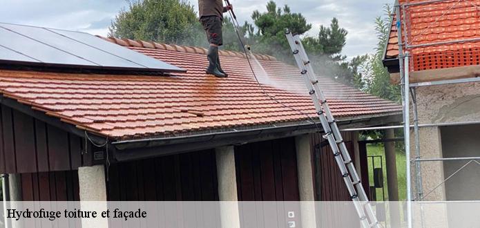 À qui peut-on confier les travaux d'hydrofugation des toits et des façades des maisons ?