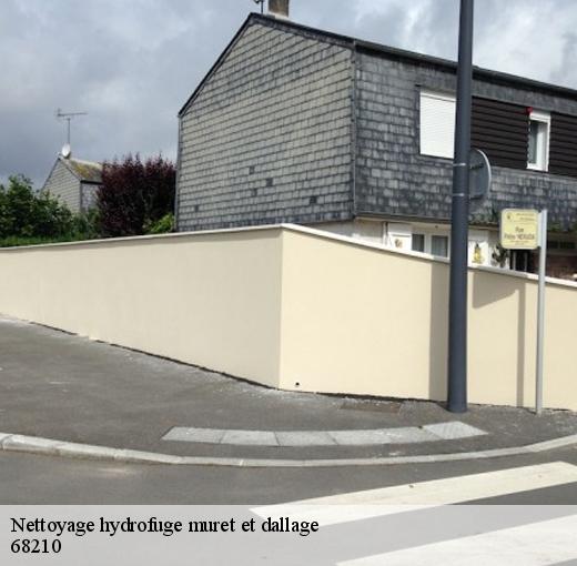 Nettoyage de muret Ballersdorf avec Ferret Couverture