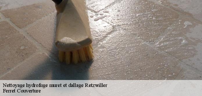 Nettoyage de muret Retzwiller avec Ferret Couverture